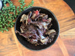 BBQ RIB Biltong